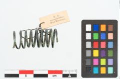 Foto von Bronzespiralröhrchen (NHMW-PRAE-025871)